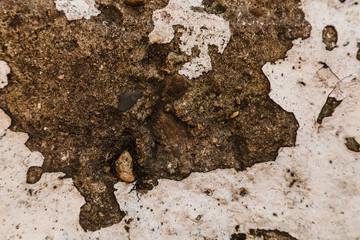 Damgaed concrete wall with shingle and pieces of old paint