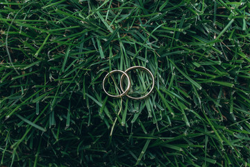 Golden rings of newlyweds on the grass.