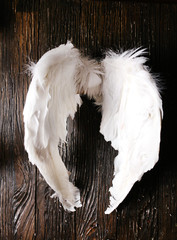 wings of Cupid feathers on a wooden background