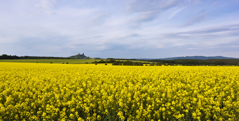 Obraz premium The landscape with ruin of castle and fields