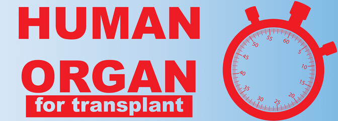 Human organ for transplant concept
