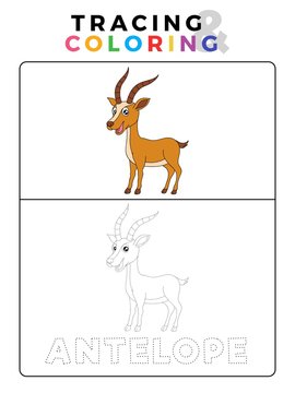 Funny Antelope Deer Animal Tracing and Coloring Book with Example. Preschool worksheet for practicing fine motor and color recognition skill. Vector Cartoon Illustration for Children.