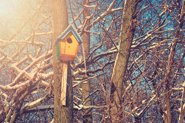 Empty wooden birdhouse in a winter park.