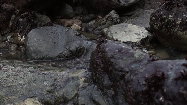 Tiny Waterfall on Rocks with Sound