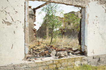 Window with debris and trees.