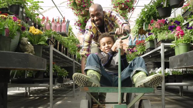 Father pushing his son on a cart in a greenhouse