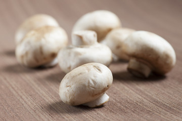 Mushrooms