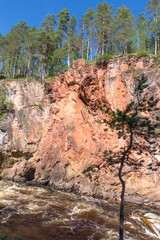High spruce on the rocks above the stormy river, Finland