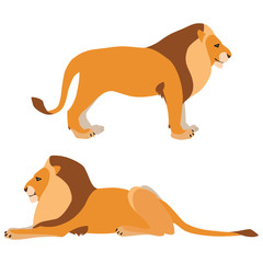Vector illustration of standing and lying lions isolated on white background
