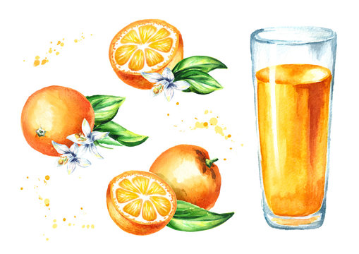 Orange juice set. Watercolor hand drawn illustration, isolated on white background