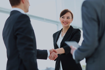 Two professional business people shaking hands.