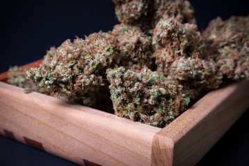 Cannabis Nug - Strain: Shark Shock