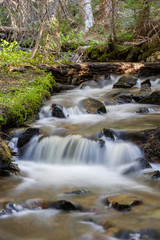 Killpecker Creek in the Laramie Mountains of Northern Colorado.