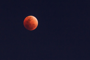 Bloody Moon