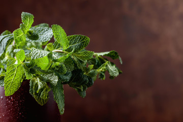 Bunch of fresh green organic mint .