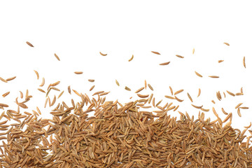 Cumin or caraway seeds isolated on white background. Top view