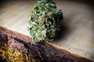 Cannabis Nug - Strain: LA Chocolope