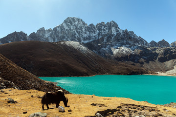 Himalayas. Gokyo Ri, Mountains of Nepal, snow covered high peaks and lake not far from Everest. © Dmytro Kosmenko