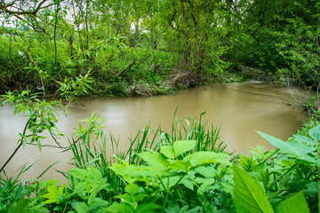 River in the Ukrainian countryside during a flood