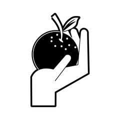 Hand with orange icon vector illustration graphic design