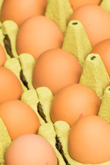 Freerange fresh raw eggs in recycled paper egg cartons or on the straw