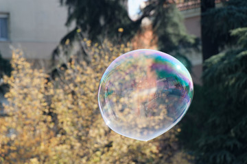 Big bubble