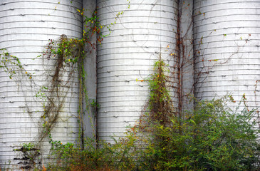 Bending Industrial Bins © bonniemarie