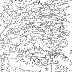 Vintage contour mapping. Natural printing illustrations of maps.