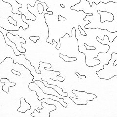 Vintage contour mapping. Natural printing illustrations of maps.