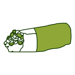 Mexican burrito food icon vector illustration graphic design