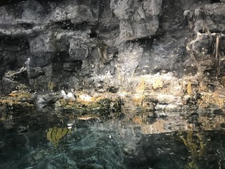 Aquarium