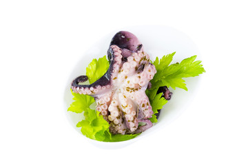 Mini canapes with seafood and vegetables and herbs and in plastic utensils isolated on white background.