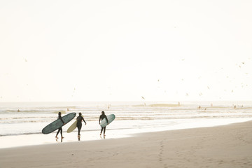Women carrying surfboards while walking at beach against clear sky
