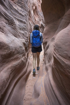 Rear view of carefree female hiker with backpack walking amidst canyons