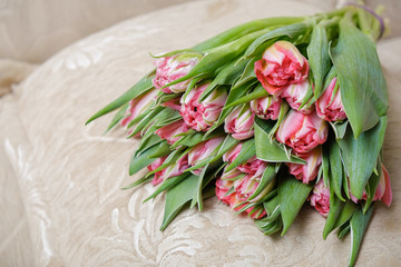 Pink tulips close up