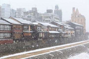 Fototapeta premium 京都冬日 Kyoto winter