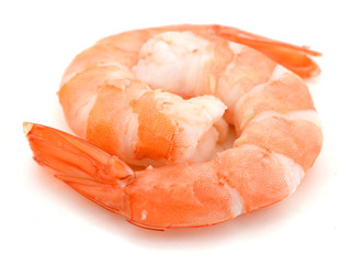 Two cooked unshelled tiger shrimps isolated on white
