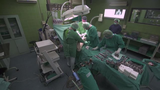 Surgeon team of orthopedist with surgical tools operating hip of patient under anesthesia on table, female medic support preparing instruments on tray at operation room, surgery procedure, crane shot