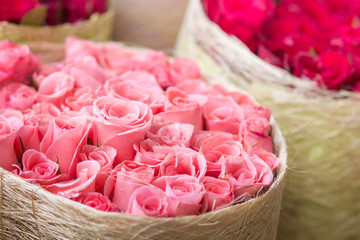 Obraz na płótnie Canvas wedding bouquet with rose bush