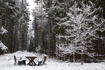 Sitzbank im verschneiten Wald