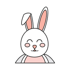 rabbit or bunny icon image vector illustration design 