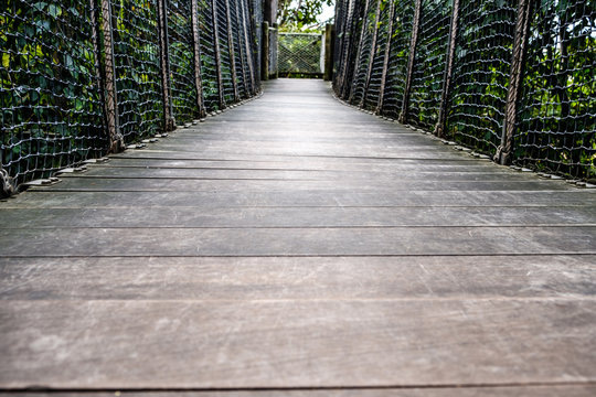 wooden walkway, wood bridge through forest