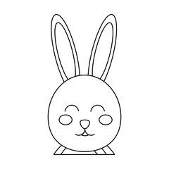 rabbit or bunny icon image vector illustration design  black line