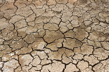 Dry soil texture background