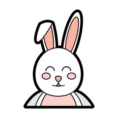 rabbit or bunny icon image vector illustration design 