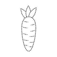 carrot vegetable icon image vector illustration design  black dotted line