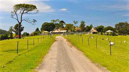 Farm Road