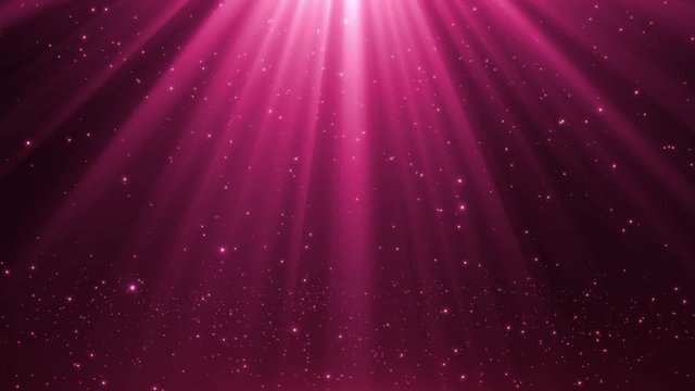 Raining Orbs of Light | Twinkling Glowing Particles falling from the Sky with Beautiful Rays of Light Seamless Looping Animated Motion Background Video Backdrop Pink Magenta