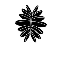 plant leaf icon image vector illustration design  black and white