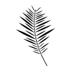 plant leaf icon image vector illustration design  black and white